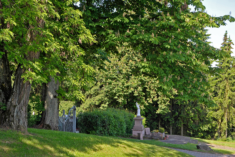 Friedhof Bubach