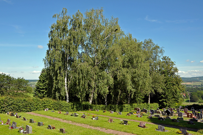 Friedhof Bubach