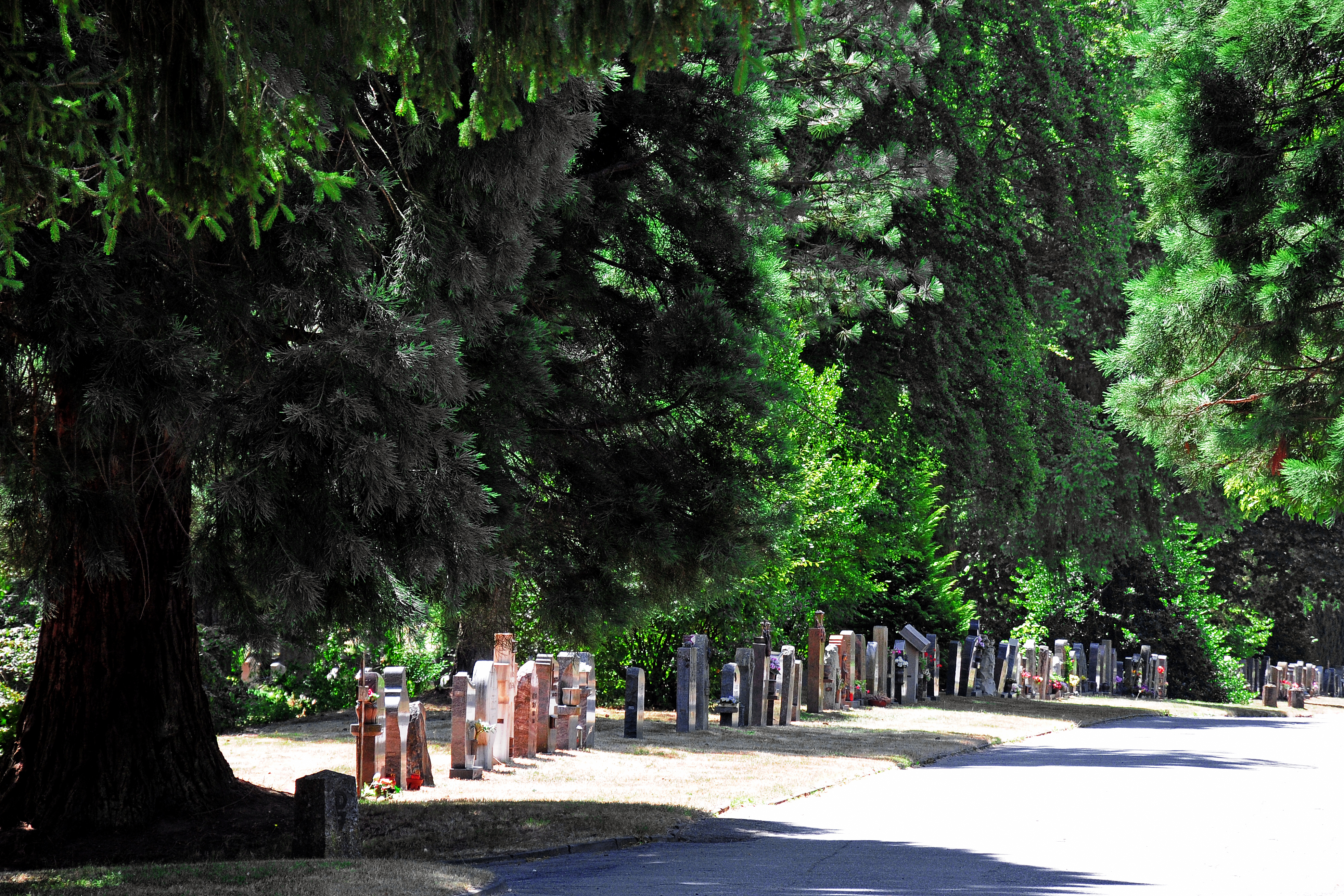 Zentralfriedhof Furpach